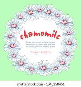 Wreath of chamomile flowers, vector floral background, round flower frame, border. Drawn buds white chamomile flowers hand drawing with a label for text, isolated on green backdrop