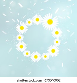 wreath of chamomiles on a blue background