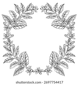 Una corona de ramas de árbol de café y flores. Ilustración vectorial para interiores de cafeterías, embalaje de productos, postales, hogueras de tazas de café y diseño de menús