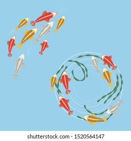 wreath and composition of bright colourful red, gold, silver carps with bubbles and circles on a blue water