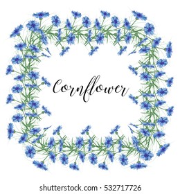 The wreath of cornflowers flowers on a white background. Decor element.