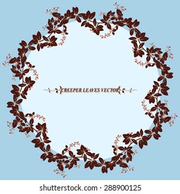 wreath of creeper flower vine plant vector illustration