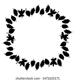 A wreath of fallen autumn leaves. Leaves in a circle on a white background.