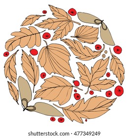 The wreath of fallen leaves. The leaves of trees. Autumn leaves. Circle of leaves. The leaves and berries. Line art. Drawing by hand. Graphic arts. Doodle.