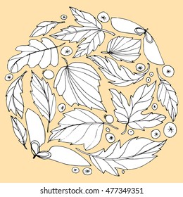 The wreath of fallen leaves. The leaves of trees. Autumn leaves. Circle of leaves. The leaves and berries. Line art. Drawing by hand. Graphic arts. Doodle.