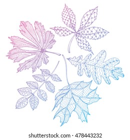 The wreath of fallen leaves. The leaves of trees. Autumn leaves. Circle of leaves. The leaves and berries. Line art. Drawing by hand. Graphic arts. Doodle.