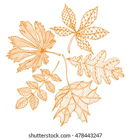 The wreath of fallen leaves. The leaves of trees. Autumn leaves. Circle of leaves. The leaves and berries. Line art. Drawing by hand. Graphic arts. Doodle.