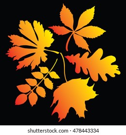 The wreath of fallen leaves. The leaves of trees. Autumn leaves. Circle of leaves. The leaves and berries. Line art. Drawing by hand. Graphic arts. Doodle.