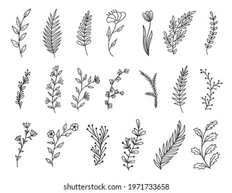 Wreath Floral Branch in Hand Drawn Style Thin Line Icon Set. Vector illustration of Botanical Element Icons