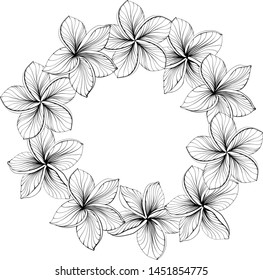 A wreath of flowers of plumeria. Summer wreath of tropical plumeria flowers. Flower arrangement or frame suitable for celebrations and decor. Vector illustration isolated on white background.