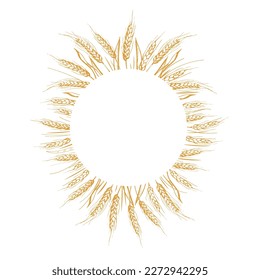 Wreath frame from ears of wheat.A bunch of ears of wheat,dried whole grains.Cereal harvest,agriculture,organic farming,healthy food symbol.Ears of wheat hand drawn.Design element. Isolated background