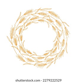 Wreath frame from ears of wheat.A bunch of ears of wheat,dried whole grains.Cereal harvest,agriculture,organic farming,healthy food symbol.Ears of wheat hand drawn.Design element. Isolated background
