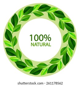 Wreath frame of green leaves. Vector illustration.