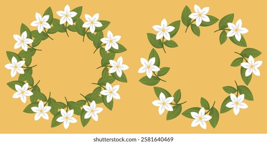 Wreath Frame Jasmine Flowers Isolated Background. Vector Illustration

