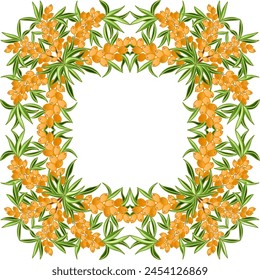 Wreath Frame of Sea-buckthorn Leaves and Berries. 
Folklore Motifs Concept. Hand-Drawn Vector Illustration, 
Not AI