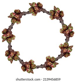 Wreath, frame with young cherry branches on a white background