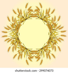 Wreath of grain. Wheat, barley and rye. vector