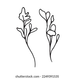 Wreath with graphic vector plant branches with buds and berries