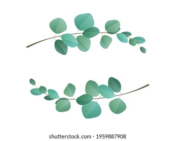 Wreath with green eucalyptus leaves and branches. Set of eucalyptus branches