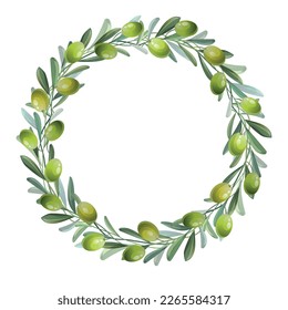 Wreath with green olive and leaves. Element for your design. Vector colorful illustration.