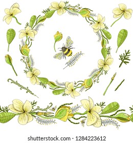 Wreath for greeting with flowers Plumeria and floral elements and bumblebee.  +  Set of elements with church flowers Plumeria and bumble-bee.