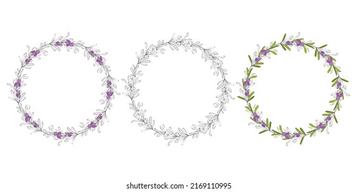 Arcos rojales de armazón redondo Rosemary. Conjunto de coronas florales con hojas, ramas. Elementos decorativos para el diseño. Silhouette de contorno de vaciado. Ilustración del vector