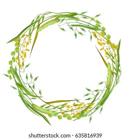 Wreath with herbs and cereal grass. Floral design of meadow plants.
