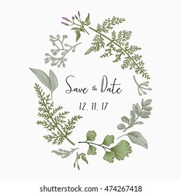 Wreath with herbs and leaves isolated on white background. Botanical illustration. Boxwood, seeded eucalyptus, fern, maidenhair. Save the date. Design elements. Vector. Engraving style.