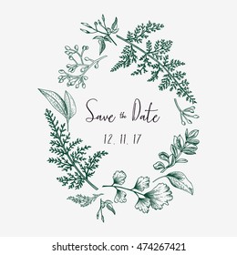 Wreath with herbs and leaves isolated on white background. Botanical illustration. Boxwood, seeded eucalyptus, fern, maidenhair. Save the date. Design elements. Vector. Engraving style.