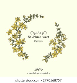 Wreath of Hypericum or St. John’s wort, medicinal plant, sketch of stem with leaves and flowers. Vector illustration