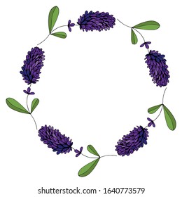 A wreath of lavender branches on a white background. Wild violet flowers. Provence. France. Vector stock illustration.