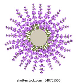 Wreath of lavender flowers in watercolor paint style. The lavender elegant card with frame of flowers isolated over white. Lavender garland for your text presentation. Vector illustration.