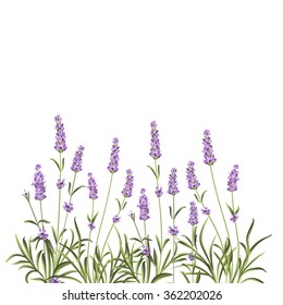 Wreath of lavender flowers in watercolor paint style. The lavender elegant card with frame of flowers and text. Lavender garland for your text presentation. Vector illustration.