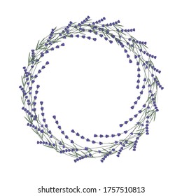 A wreath of lavender, vector illustration, a garland of flowers as a frame