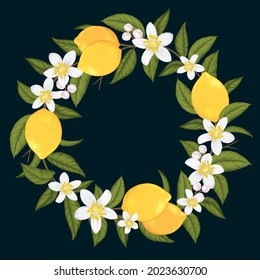 Kranz aus Zitronenfruchthintergrund Vorlage. Vektorset aus Zitronenelementen für Werbung, Verpackungsdesign von Zitronenteprodukten und Modedesign.