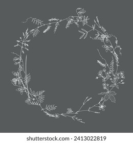 wreath of meadow herbs, frame, vector illustration