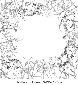 wreath of meadow herbs, frame, vector illustration	