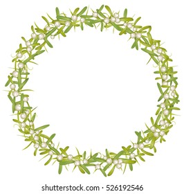 Wreath with mistletoe, colorful Christmas decoration.