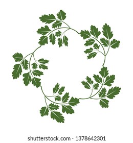 Wreath of parsley branches. vector illustration of herbs. perfect for card, packaging, menu design