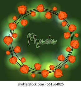 Wreath of physalis luminous flowers.