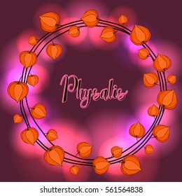 Wreath of physalis luminous flowers.