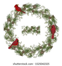 Wreath of pine branches and birds  cardinals, seamless brush of pine branches and mistletoe, Christmas plants, vector illustration