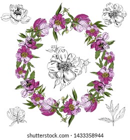 Wreath  with  pink flowers of peony. Hand drawn ink sketch. Color and monochrome objects isolated on white  background. Vector illustration.