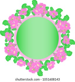 wreath of pink peonies and green leaves in pastel colors, empty space in the middle, flower garland is isolated on white background