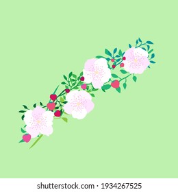 a wreath of plants, flowers and berries. decoration. strawberries and cherry blossoms. stock vector illustration.
