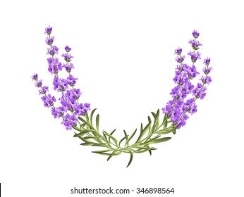 Wreath, provence, frame, ,floral, perfume. Bunch of lavender. Vector illustration.