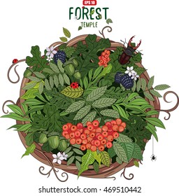 A wreath of rattan in the leaves and beetle deer, isolated on white, vector illustration, eps-10