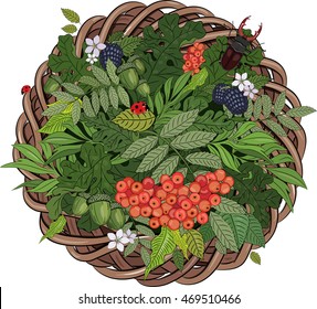 A wreath of rattan in the leaves and beetle deer, isolated on white, vector illustration, eps-10