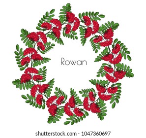 Wreath red rowan tree. Ornament twig of rowanberry or ashberry. decorative element circlet leaves and cluster of sorbus berry. Garland brunch of sorb