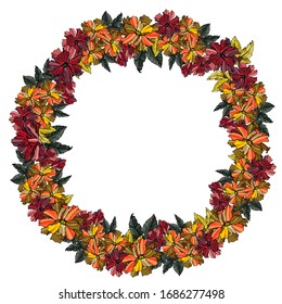 A wreath of rose flowers. Isolated over white background. Vector graphics.